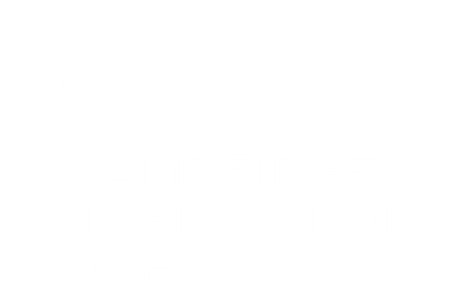 Cambridge International School Amritsar